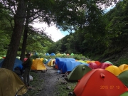 北沢長衛小屋テント場はテントの花畑