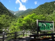 広河原に到着。北岳を振り返る