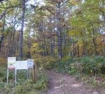 Thumbnail of post image 135